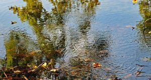 Aufsteigende Gasblasen im Laacher See